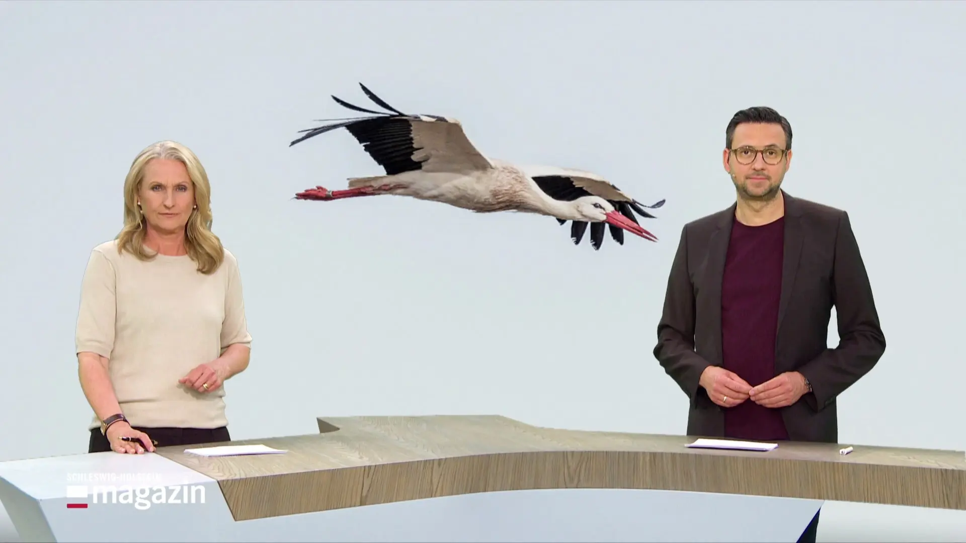 Schleswig-Holstein Magazin | 23.04.2026