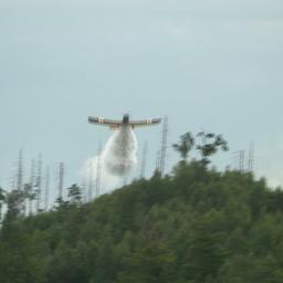 Ein Löschflugzeug im Einsatz im Harz.
