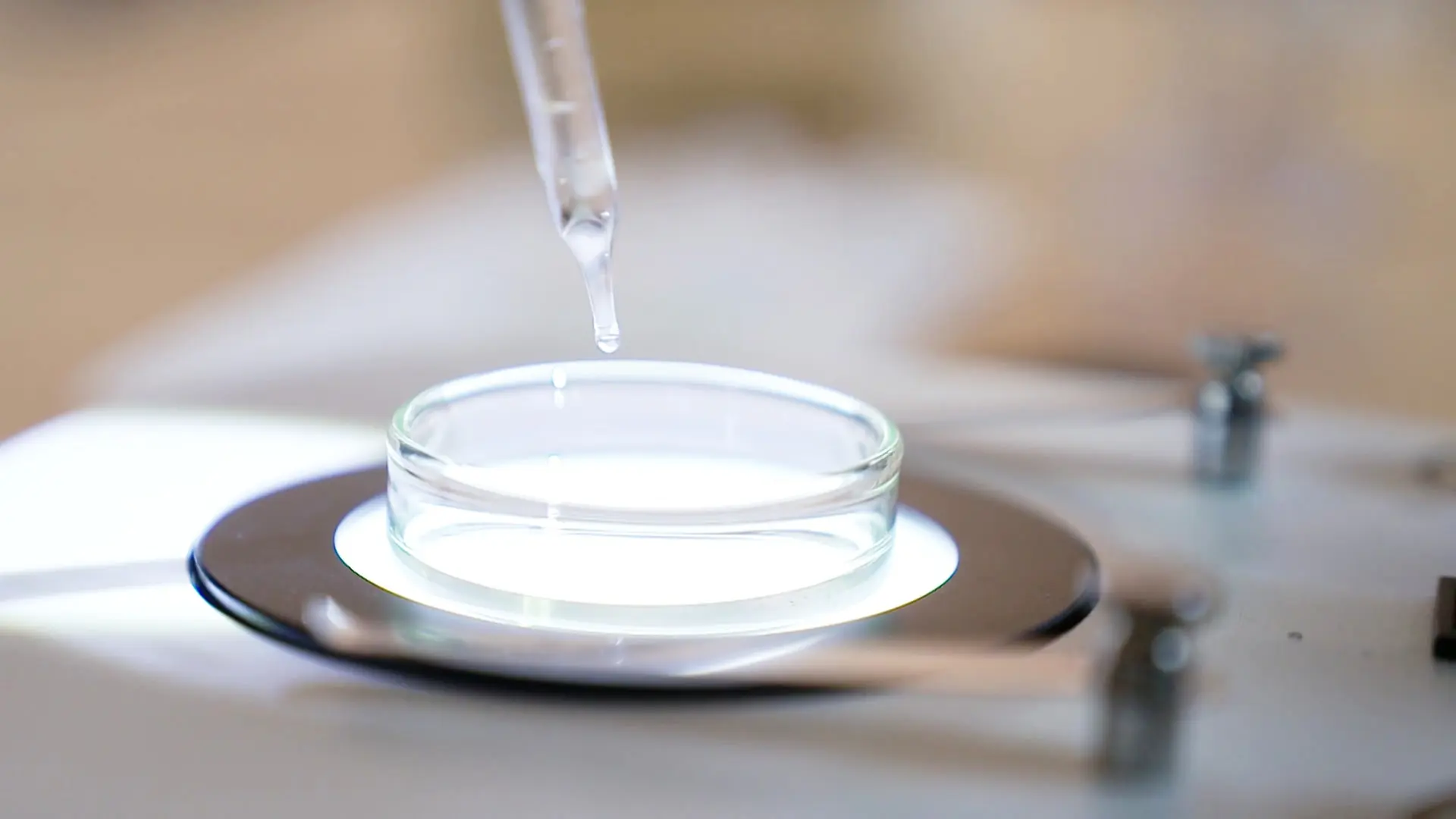 Flensburg zeigt Ausstellung über das Grundwasser