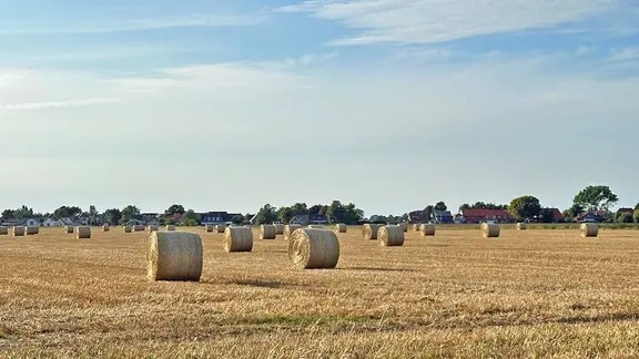 Strohballen nach der Ernte auf einem Feld