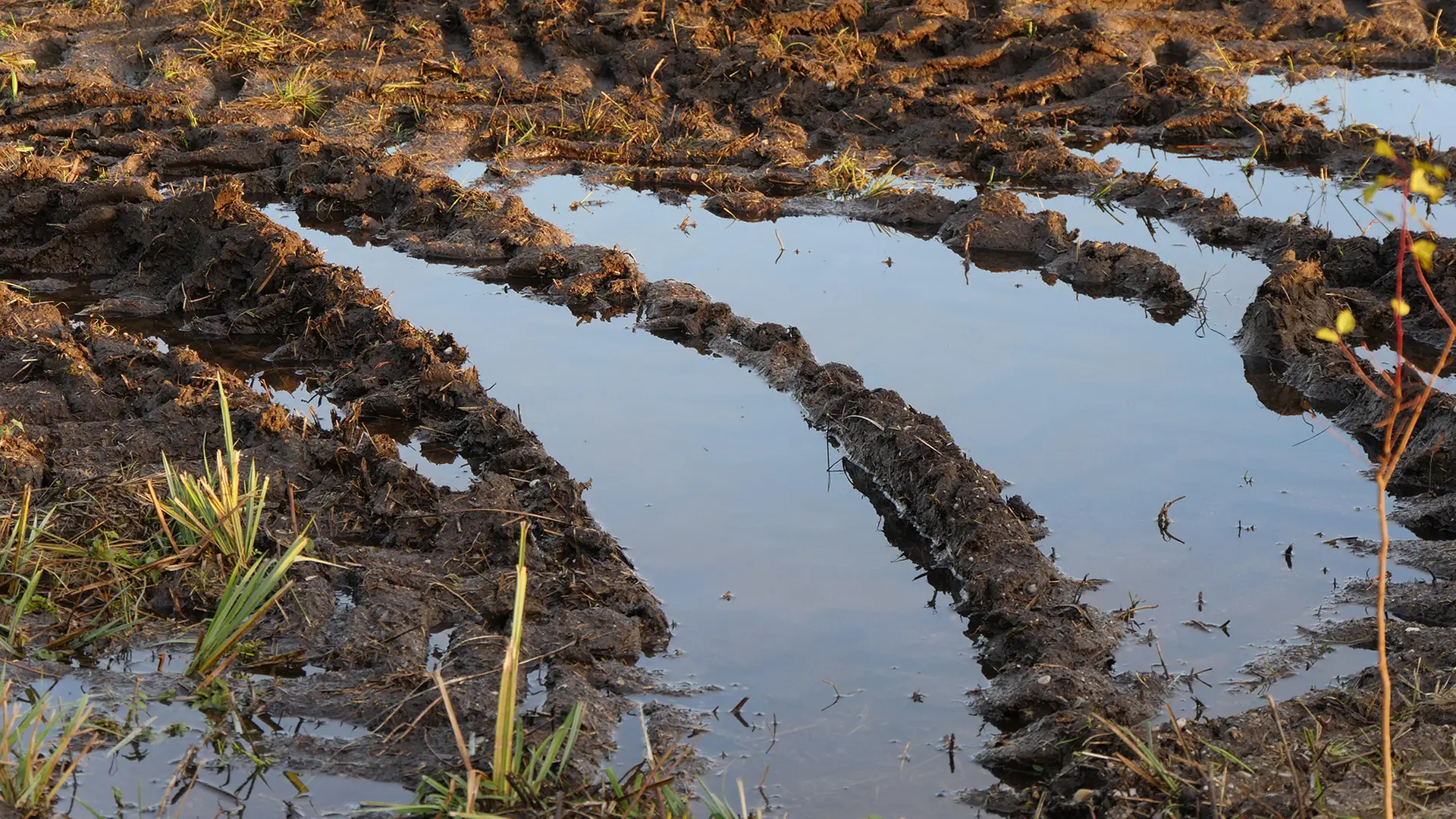 Grundwasserstress in jedem zweiten deutschen Landkreis – Studie belegt systematische Übernutzung — image 1