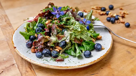 Bunter Salat mit Blaubeeren, Nüssen und Dill auf einem Teller angerichtet.