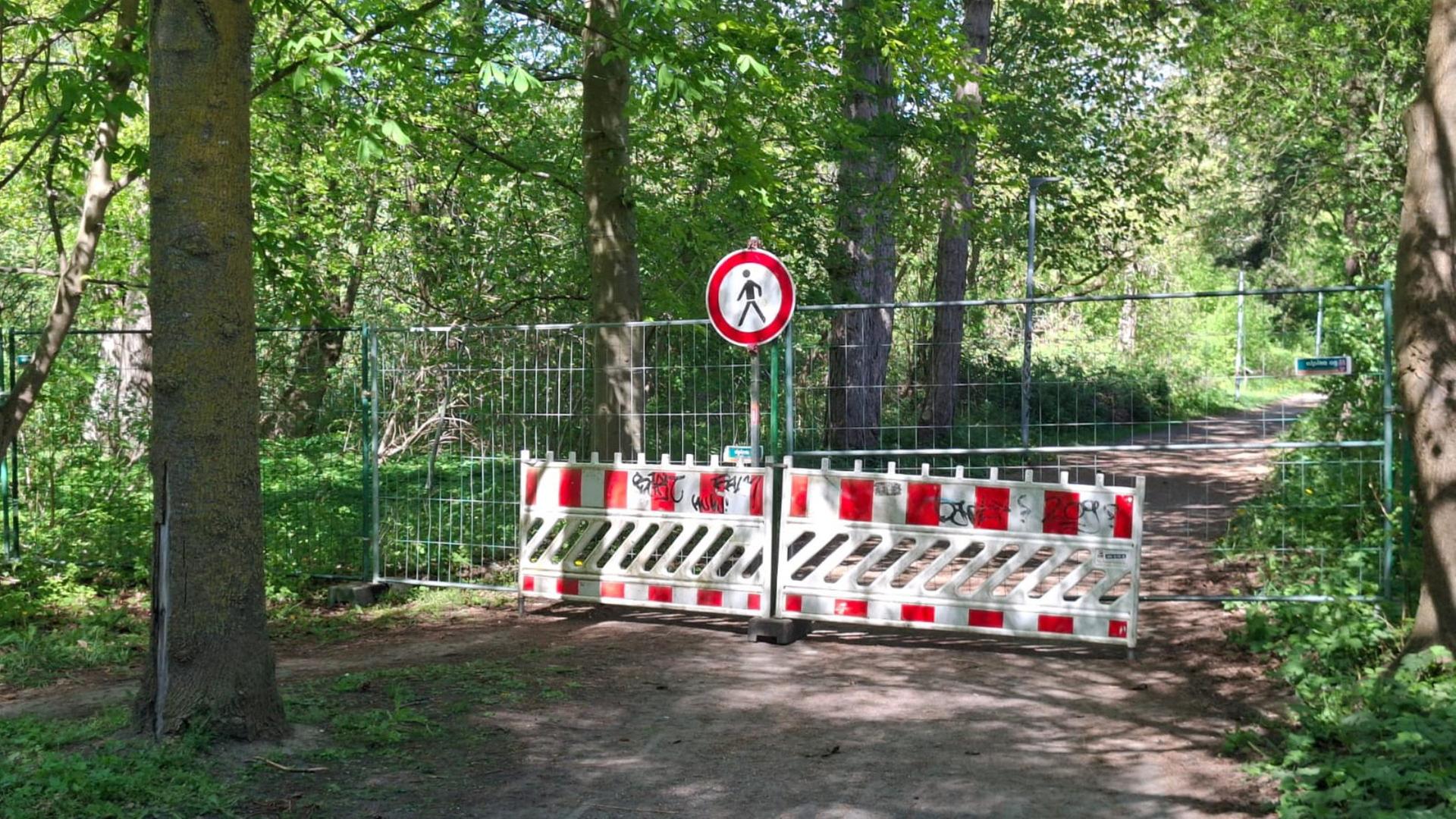 Rostock: Wege im Kringelgrabenpark werden saniert