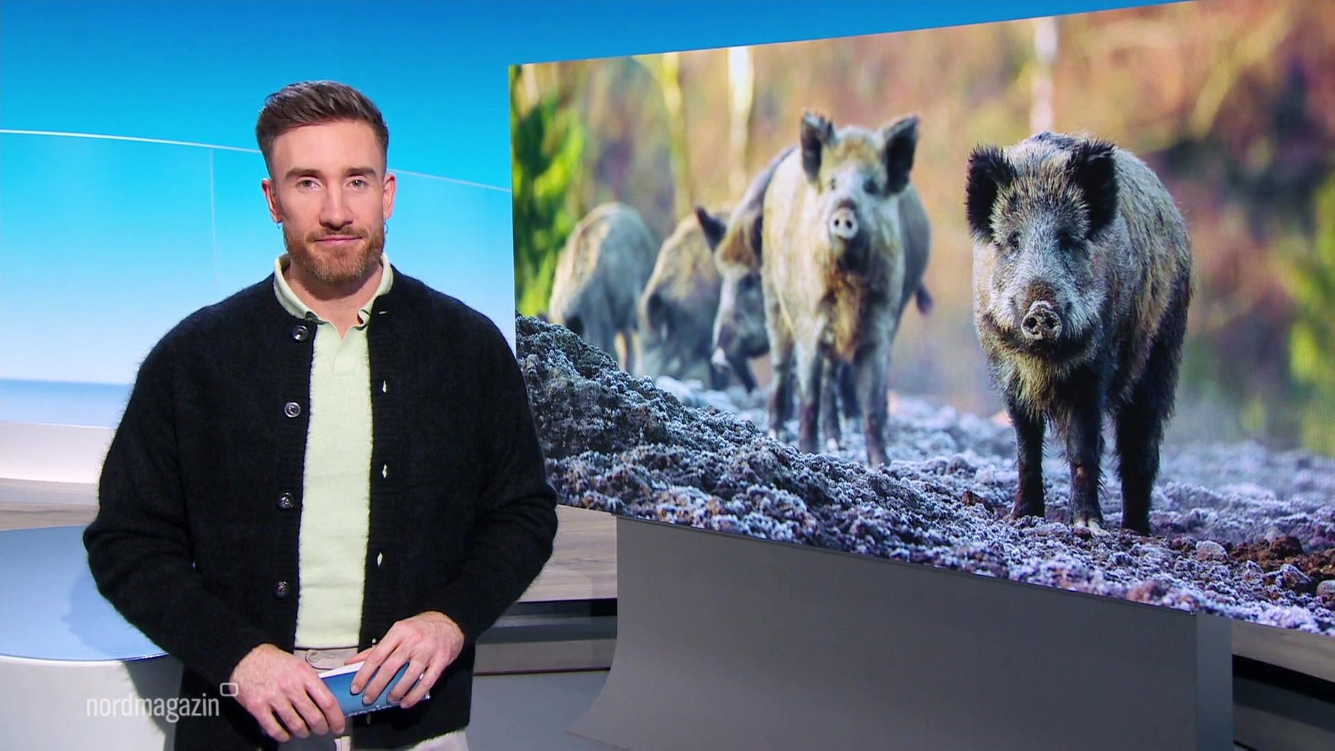 Nordmagazin - Land und Leute | 26.11.2025