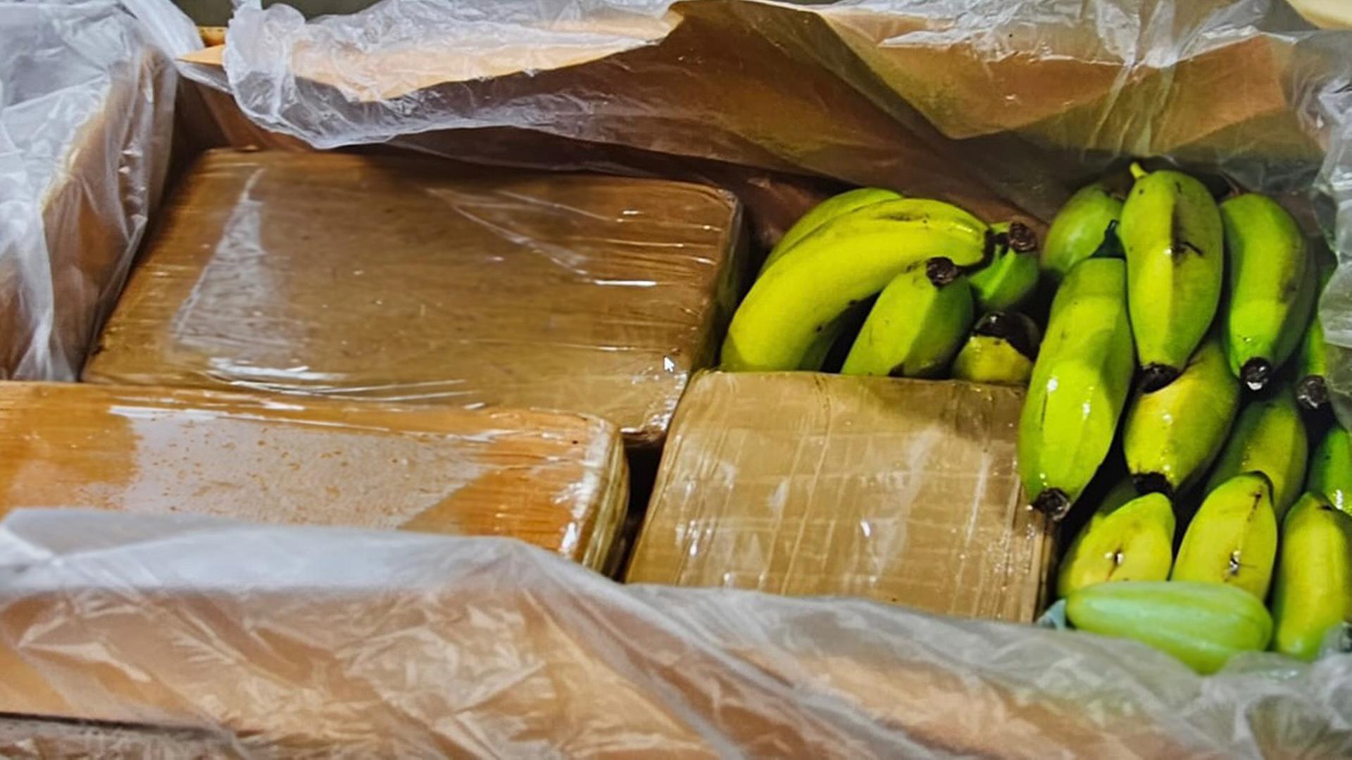 Millionenschwerer Drogenfund bei Discounter in SH und HH