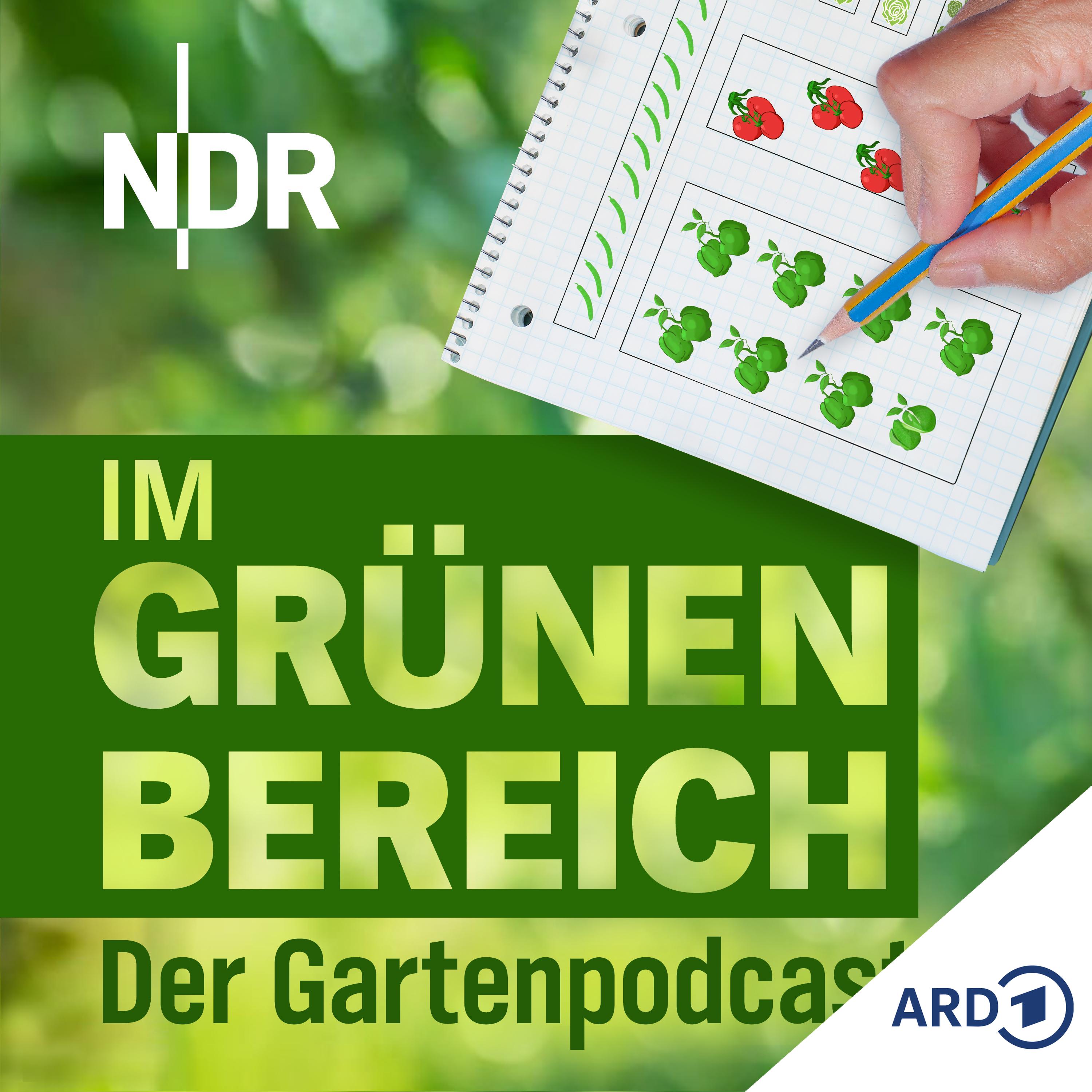 Gut geplant ist halb geerntet: Mit Pflanzplan zum Erfolg episode artwork