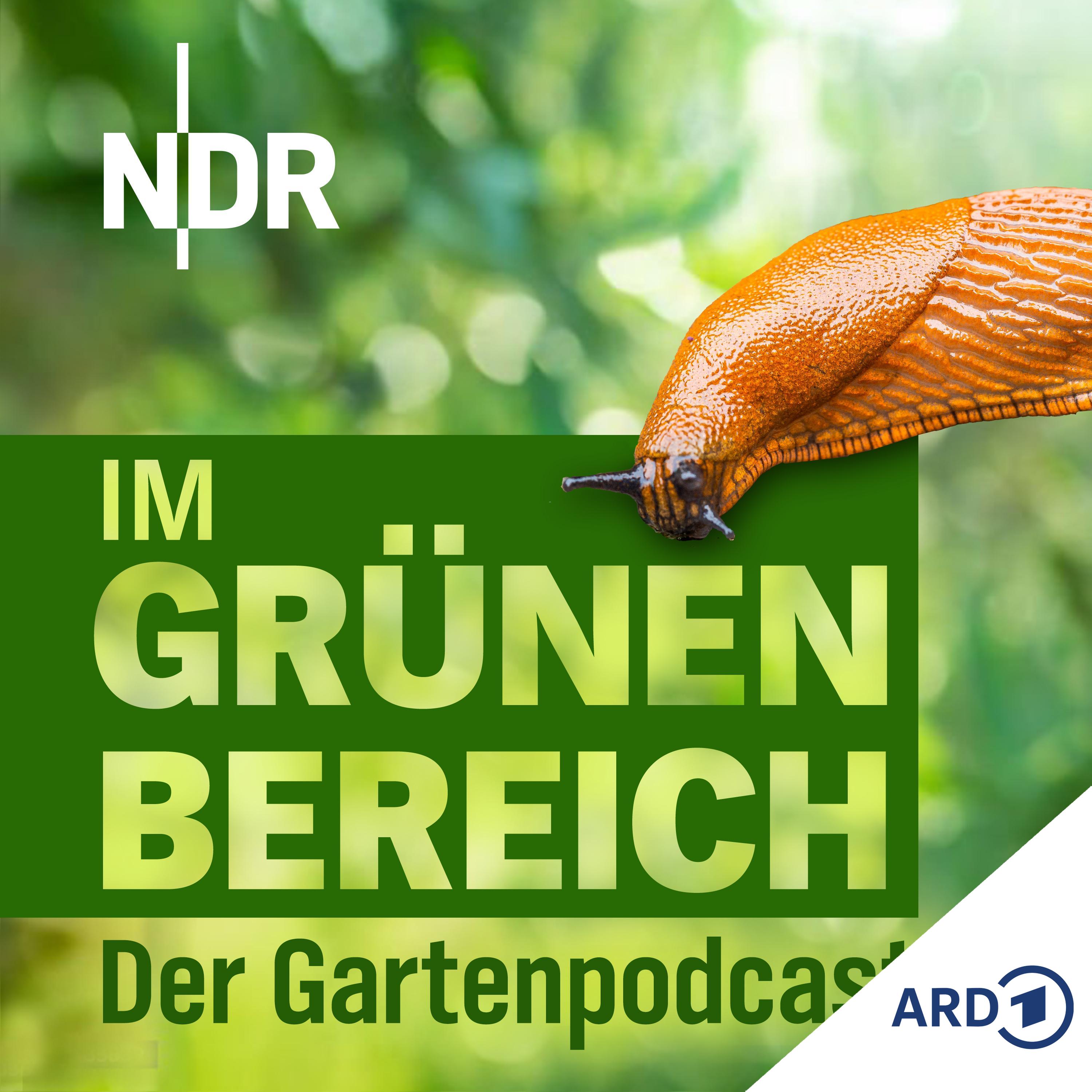 Play Nacktschnecken im Garten bekämpfen: Welche Methode hilft?
