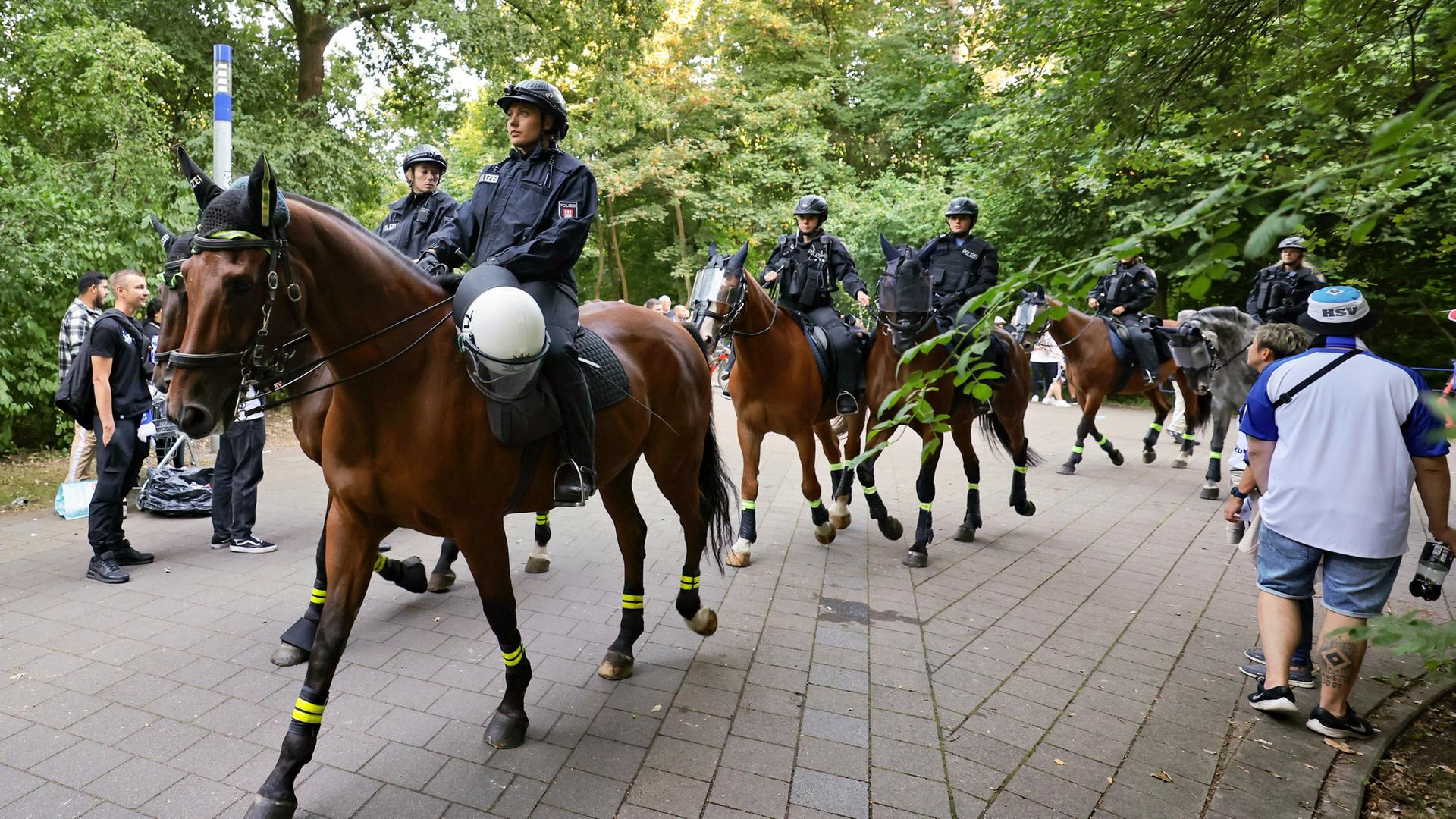 Hamburger Polizei schafft Reiterstaffel ab