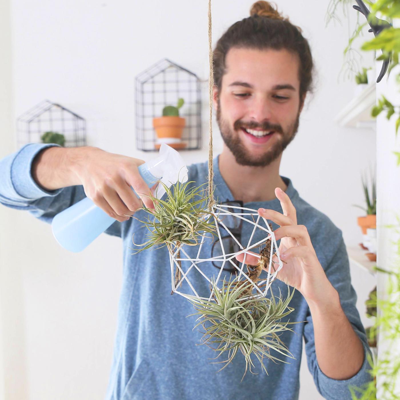 Bromelien, Orchideen und Tillandsien aufbinden | ndr.de