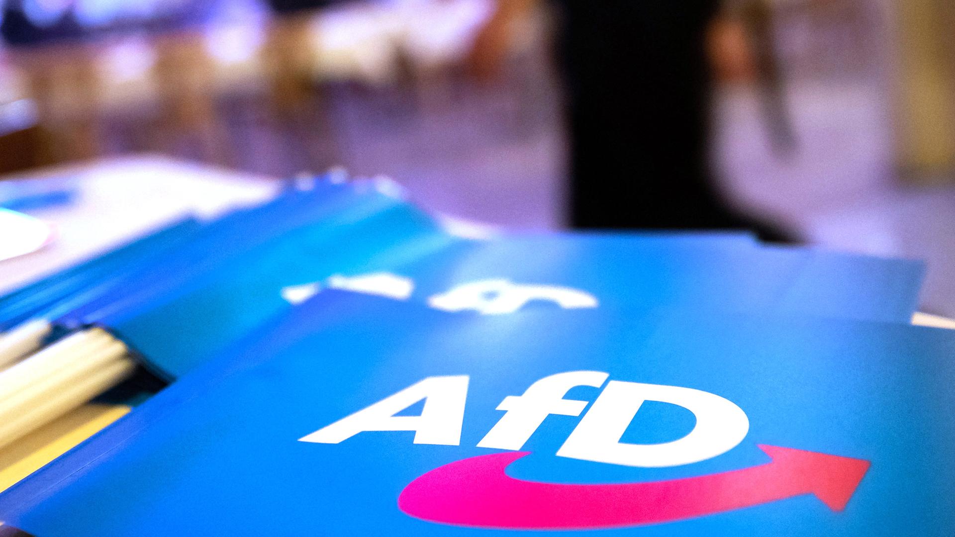 Fahnen mit AfD-Logo. | picture alliance/dpa | Daniel Karmann