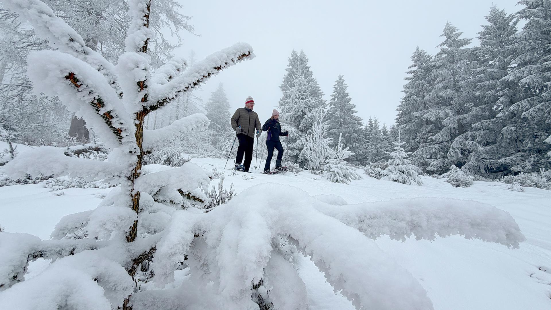 Zwei Menschen wandern mit Schneeschuhen durch einen verschneiten Wald im Harz. | NDR, Lydia Callies