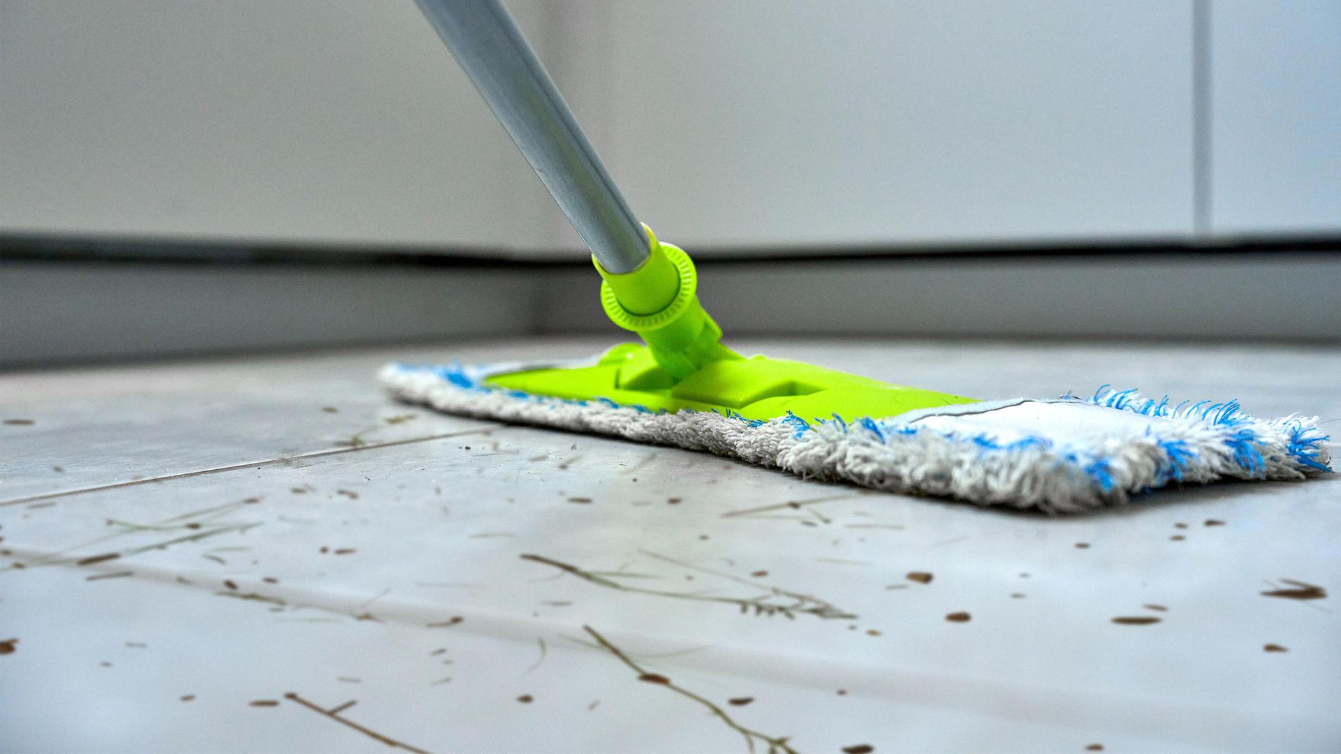 Wochenlang nicht geputzt: Verdreckte Schulen in Bad Oldesloe