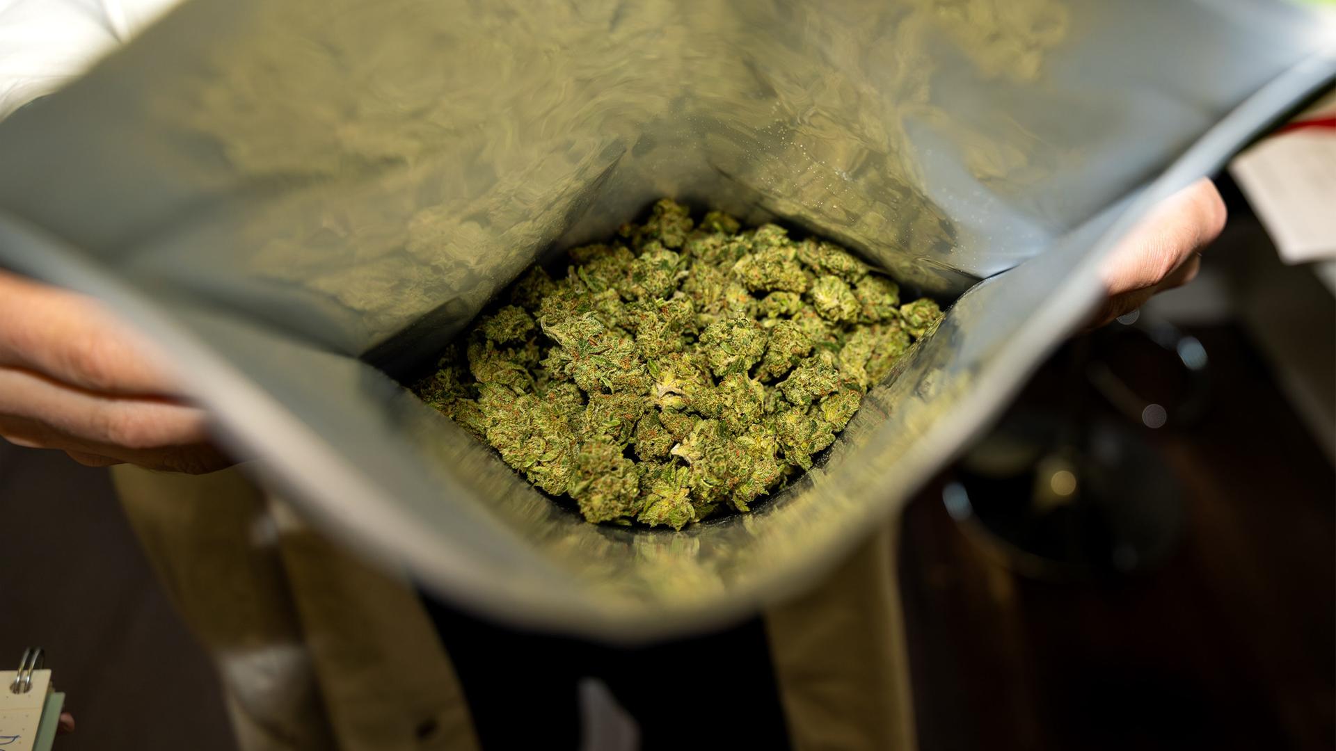 Das Bild zeigt eine geöffnete Verpackung mit getrockneten Cannabisblüten, die von einer Person gehalten wird. | Fotostand / Gelhot