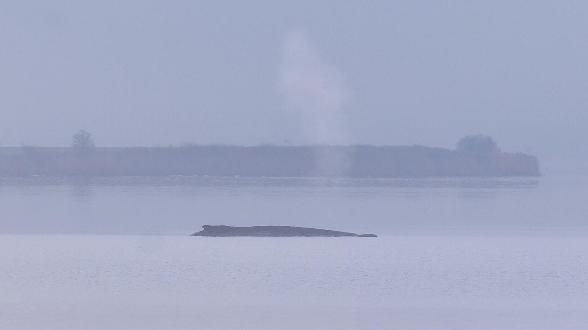 Ein Buckelwal liegt vor der Insel Poel fest. | picture alliance/dpa, Marcus Golejewski