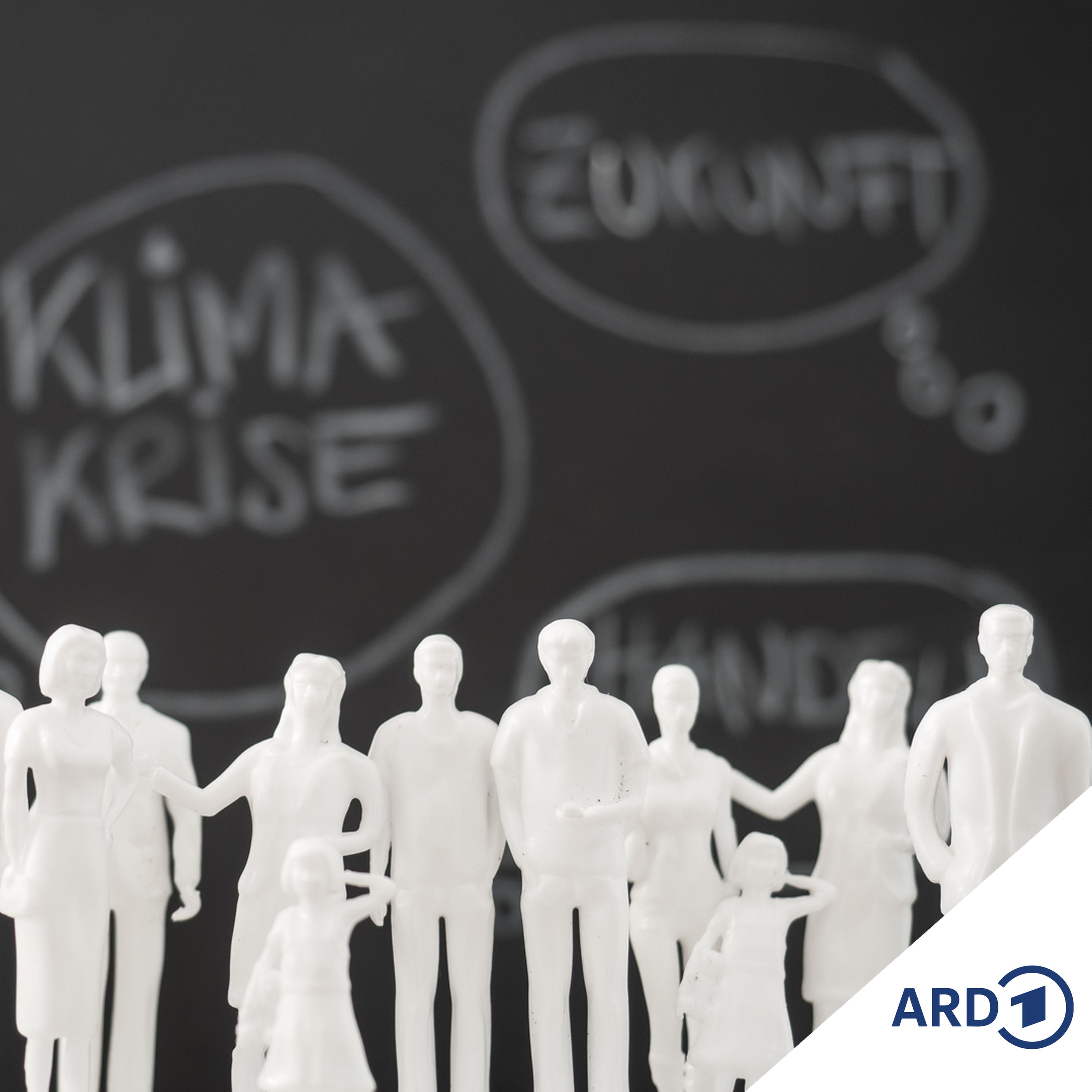 Trump kippt Klimaschutz-Vorgabe - was sind die Folgen?