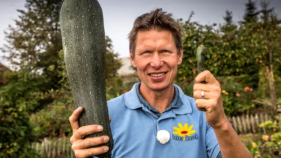 Peter Rasch hält zeigt zwei unterschiedlich große Zucchini hoch
