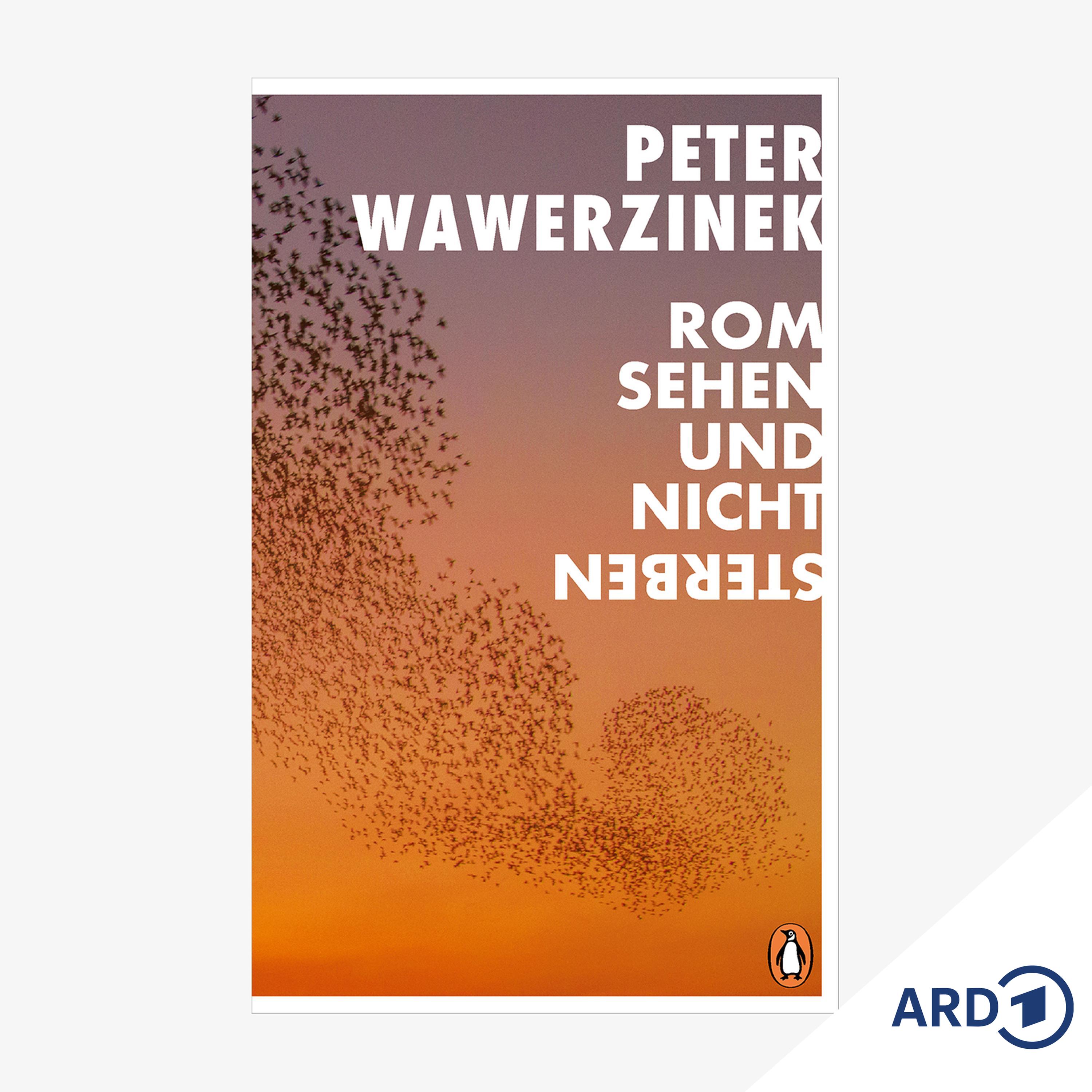 NDR Kultur - Neue Bücher