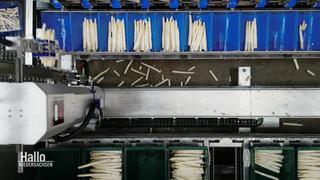 Ein Spargelsortier-Roboter von oben gesehen.