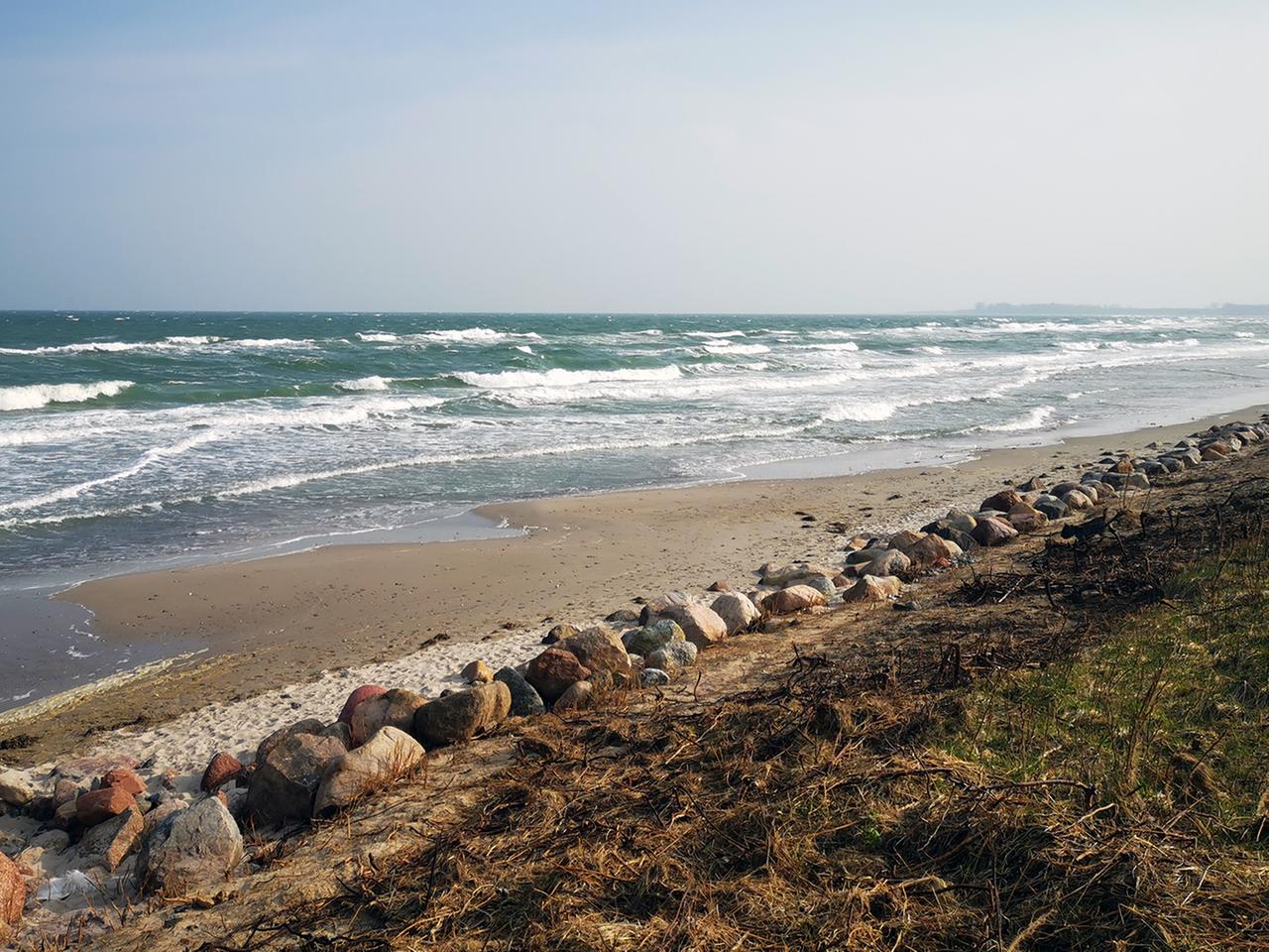 Ostseeschutz in SH: So sollen weniger Dngemittel im Meer landen | ndr.de