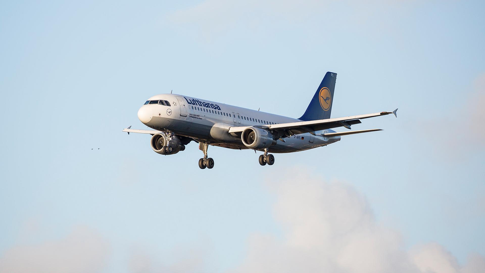 Softwareprobleme: Tausende Airbus-Flieger dürfen nicht in die Luft