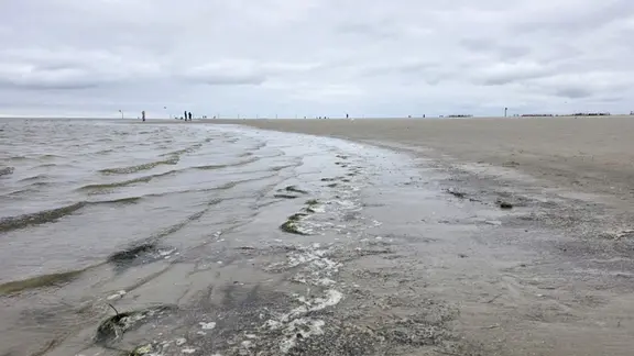 Der beste Ort, um Bernstein zu finden: an der Hochwasserlinie bei Ebbe. | Rachel Zahlmann Strand in der Nähe von St. Peter-Ording.
