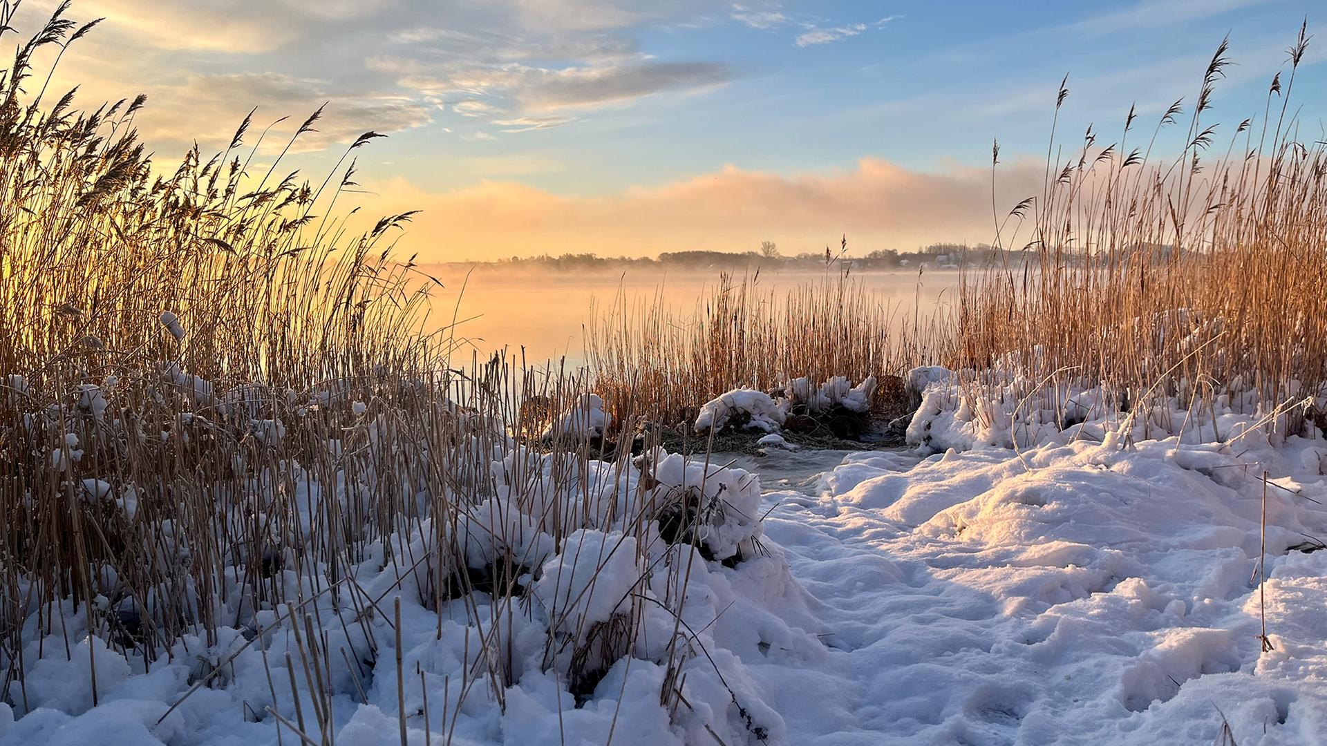 Frühnebel über der Schlei bei Schnee am Morgen. | Maresa Fintzen , Maresa Fintzen