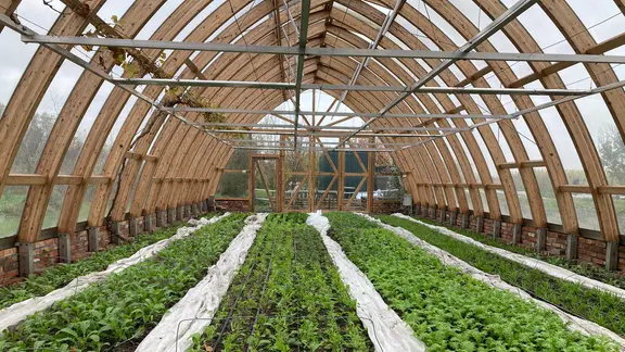 Mit Permakultur naturnah grtnern | ndr.de
