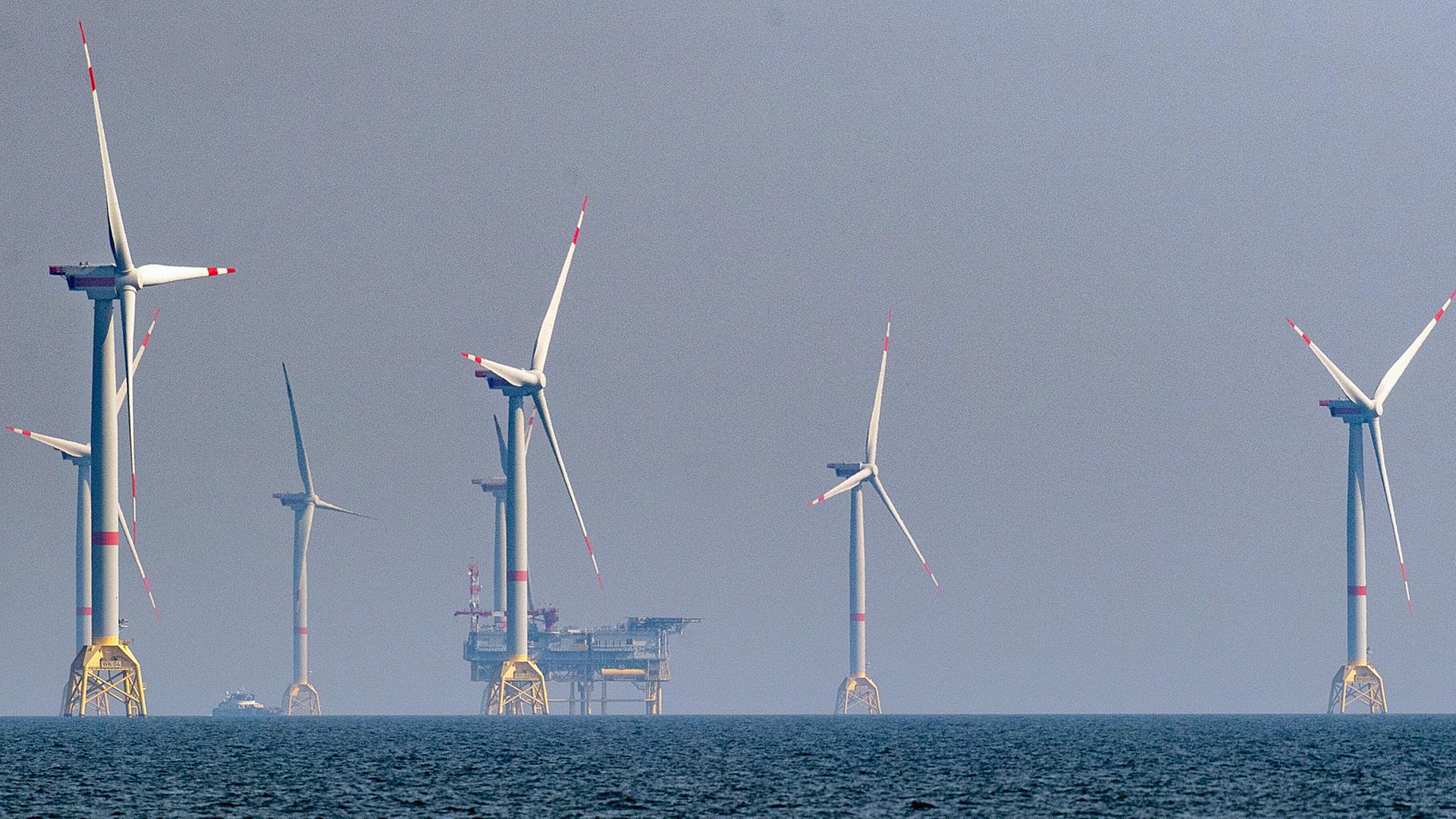 Schadstoffe könnten durch Windparks ins Meer gelangen