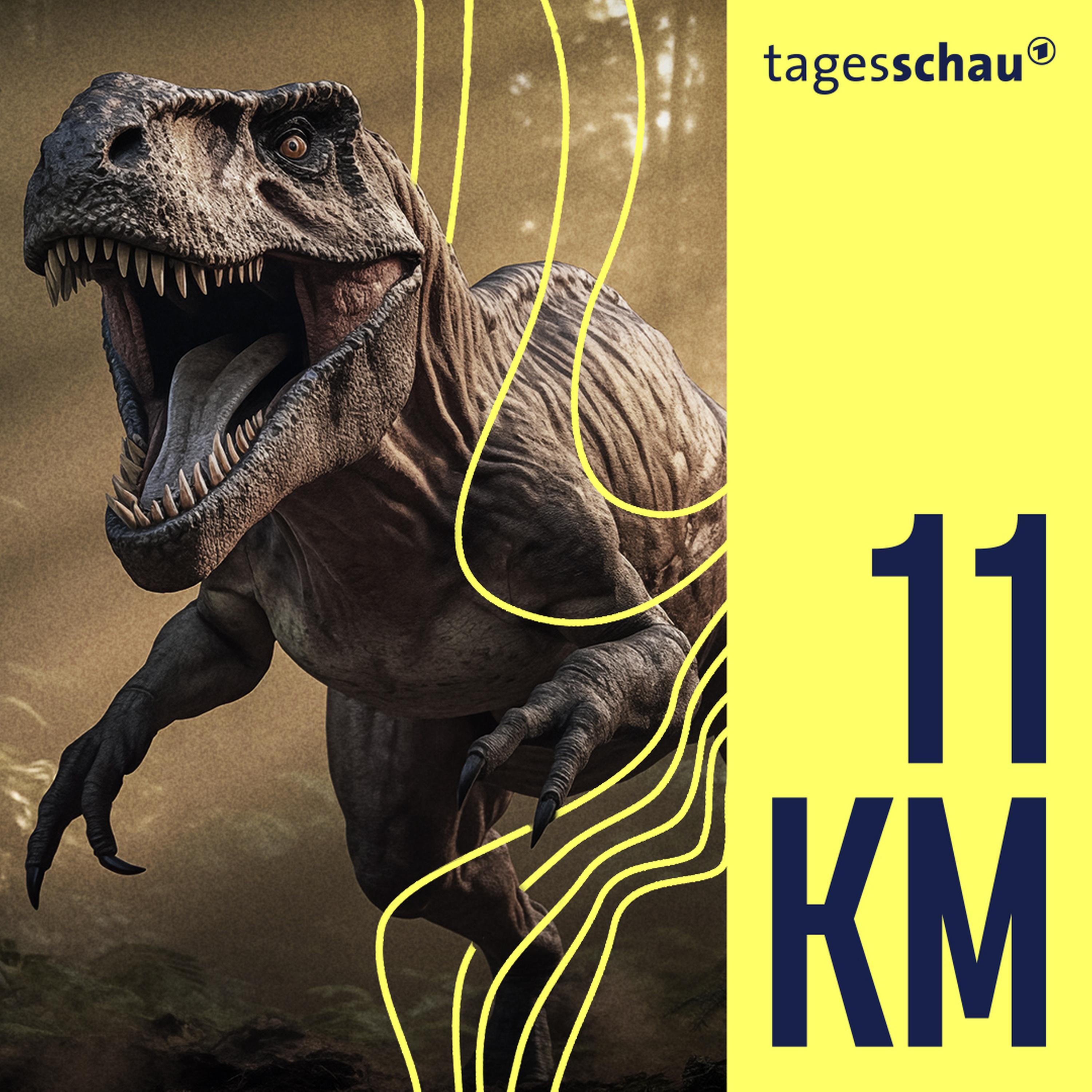 11KM: der tagesschau-Podcast