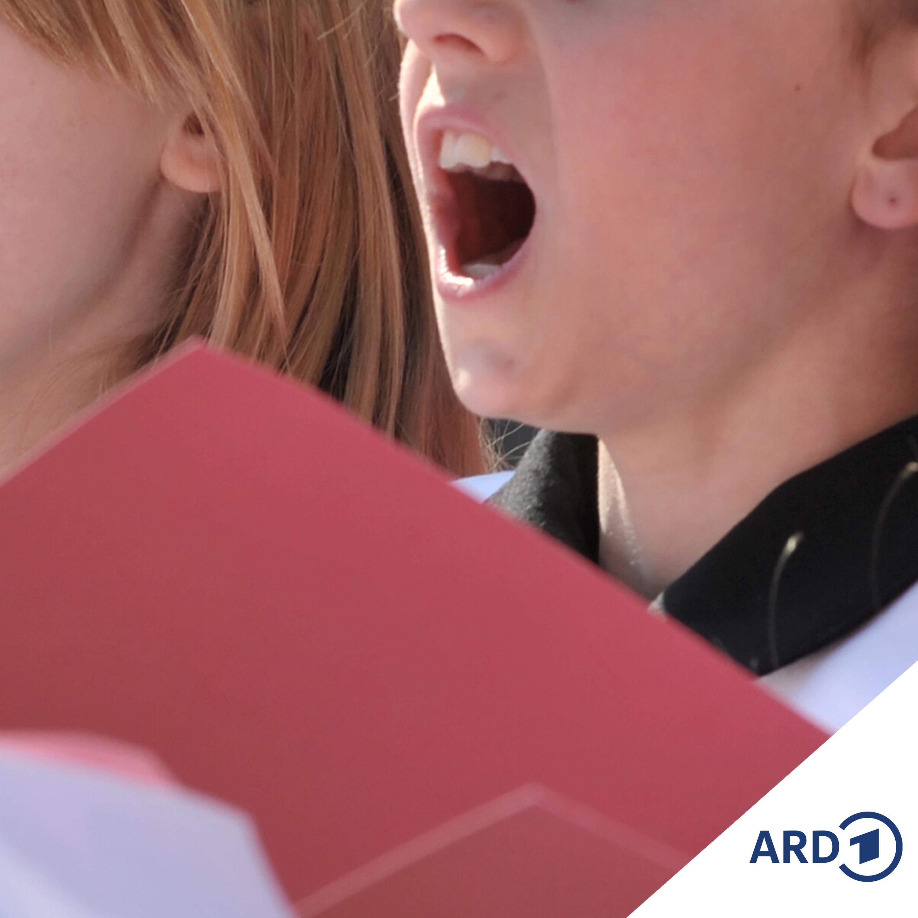 Erst verstimmt, dann verstummt - und was kommt dann? Ein Plädoyer für Stimmbildung und gute Stimmung