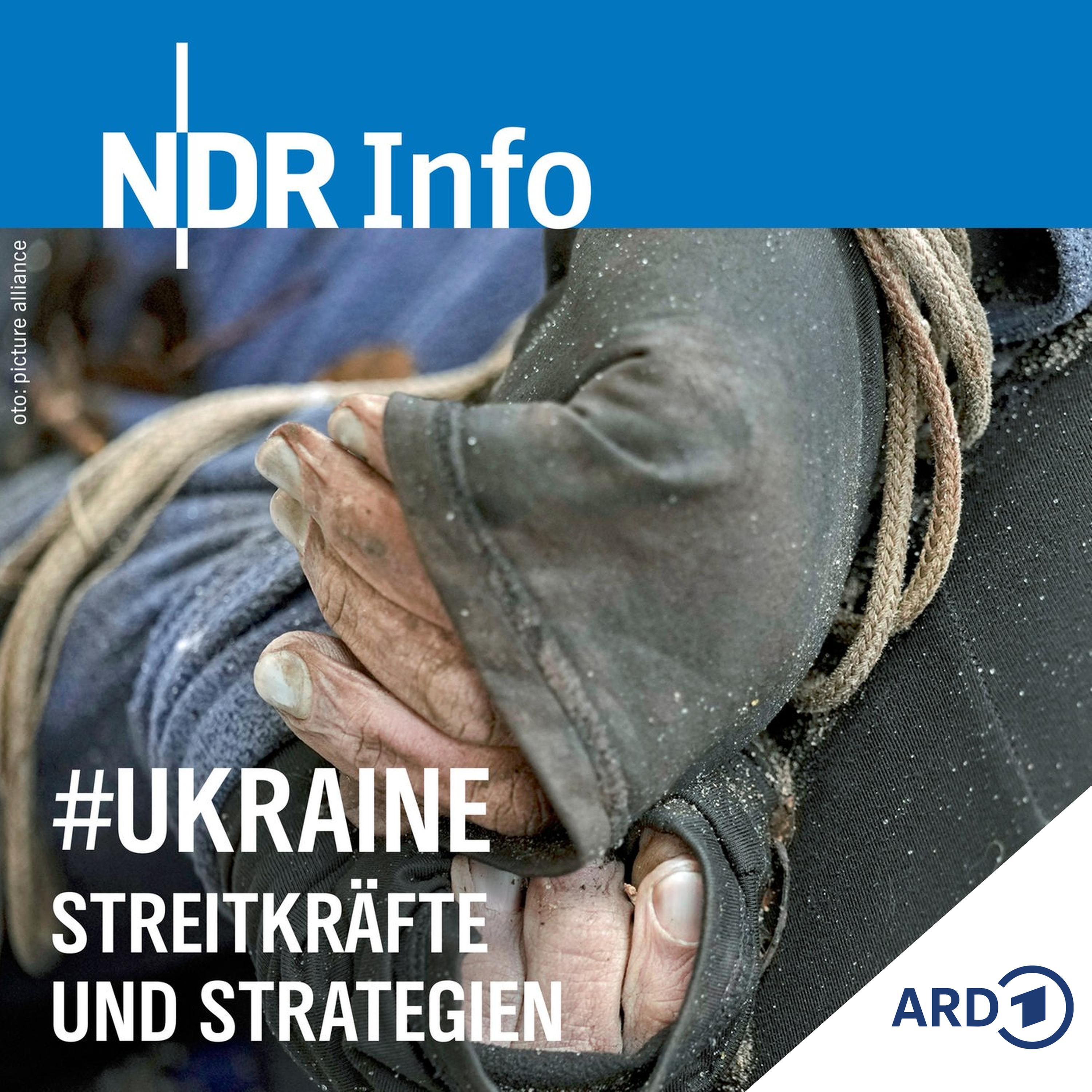 Beweise aus Butscha? (Tag 38-40)