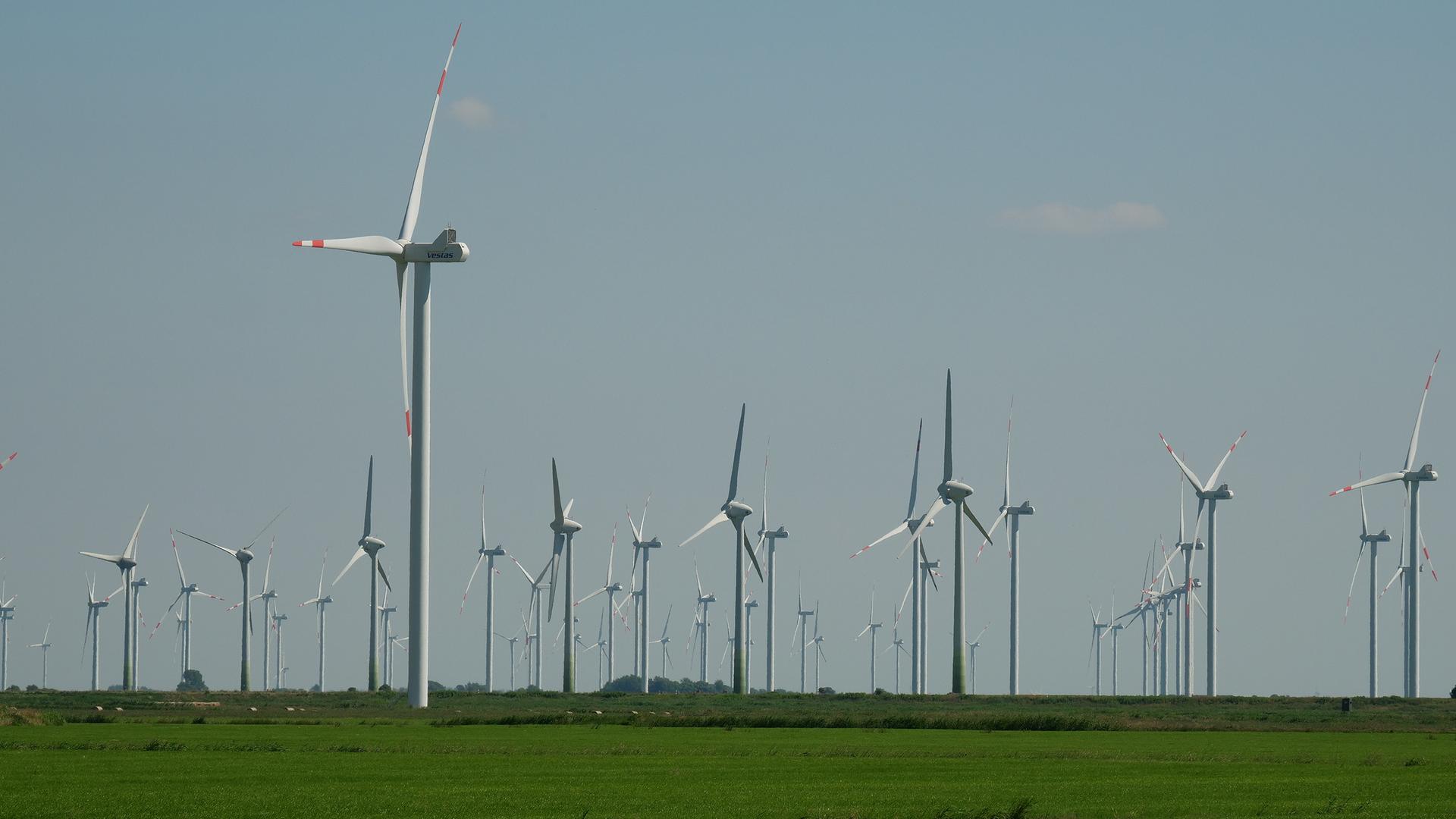 Einige Windräder bei Langenhorn | NDR, Peer-Axel Kroeske