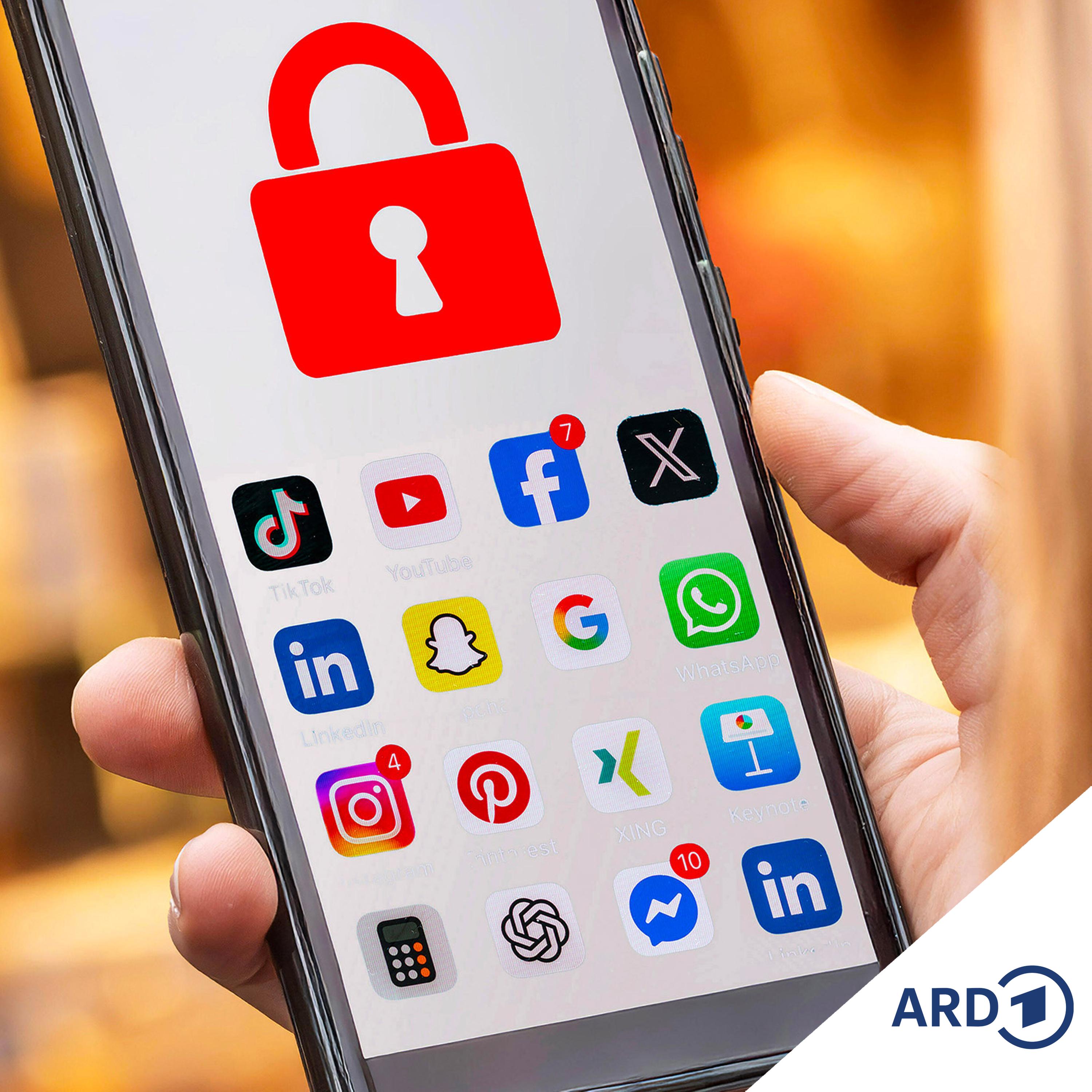 NDR 2 Spezial: "Schluss mit Instagram, Snapchat und TikTok?" episode artwork