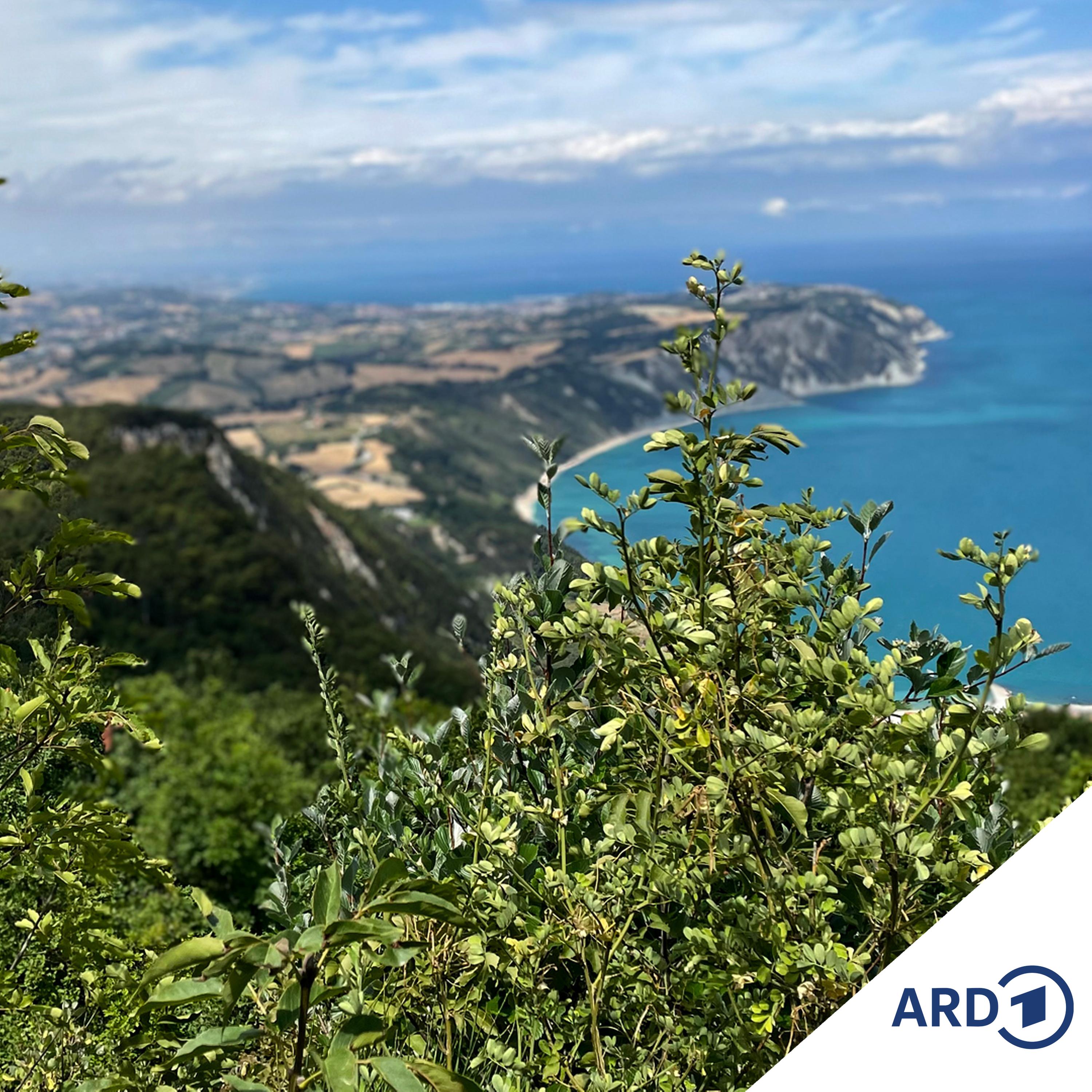 Zwischen Hamburg und Haiti