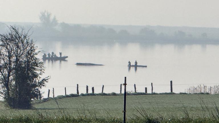 Rettungsversuch von Buckelwal soll heute starten