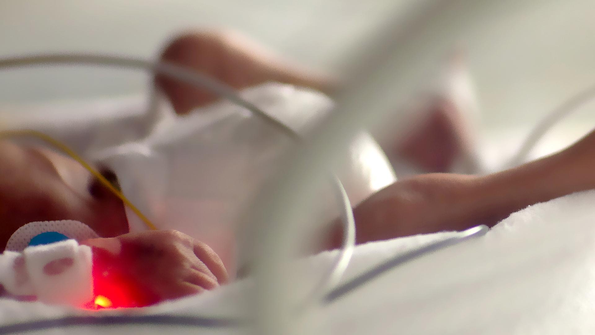 Detailaufnahme eines Frühchens im Brutkasten. | picture alliance / dpa, Arno Burgi