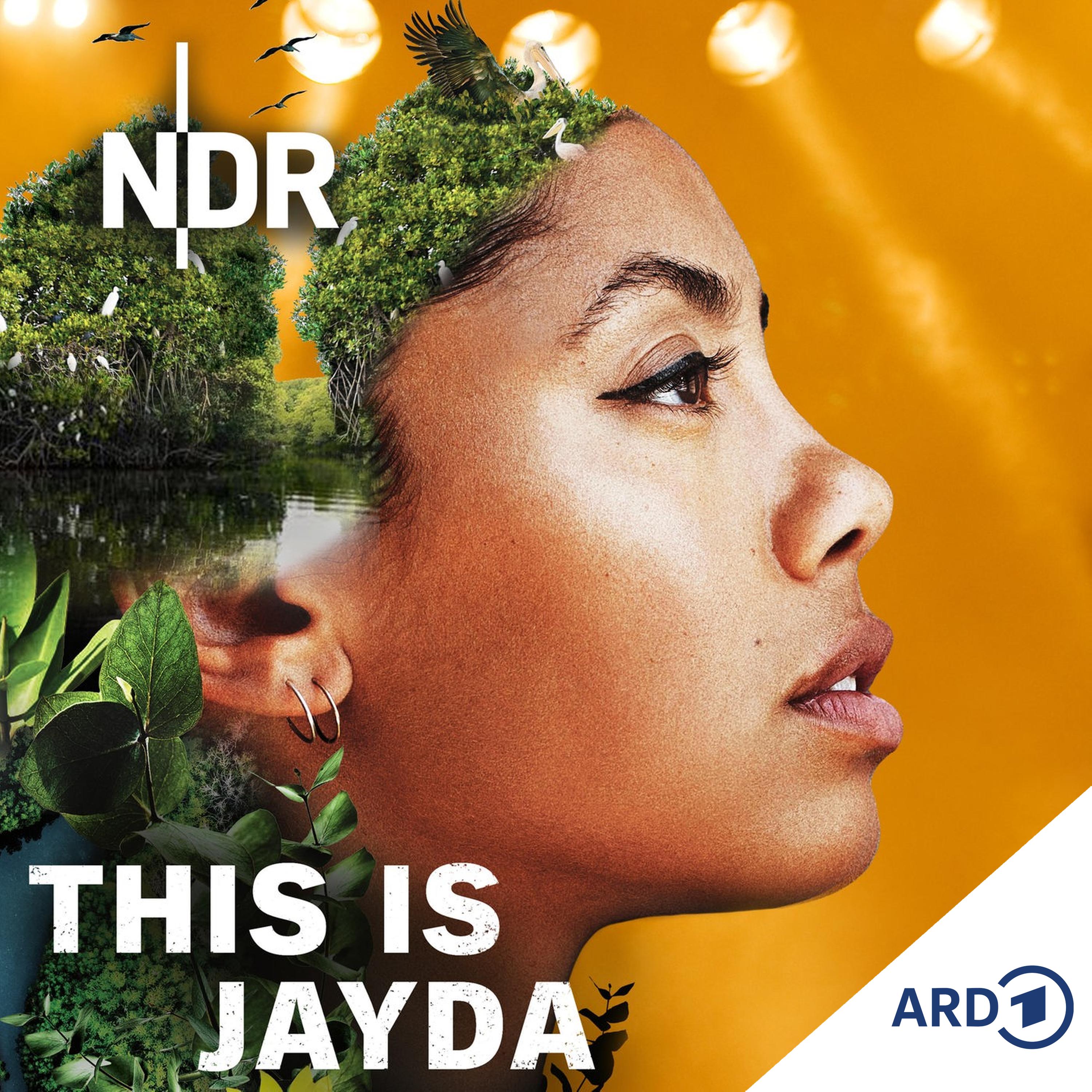 This is Jayda