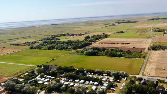 Campen auf Sylt - Watt statt Sand | ndr.de
