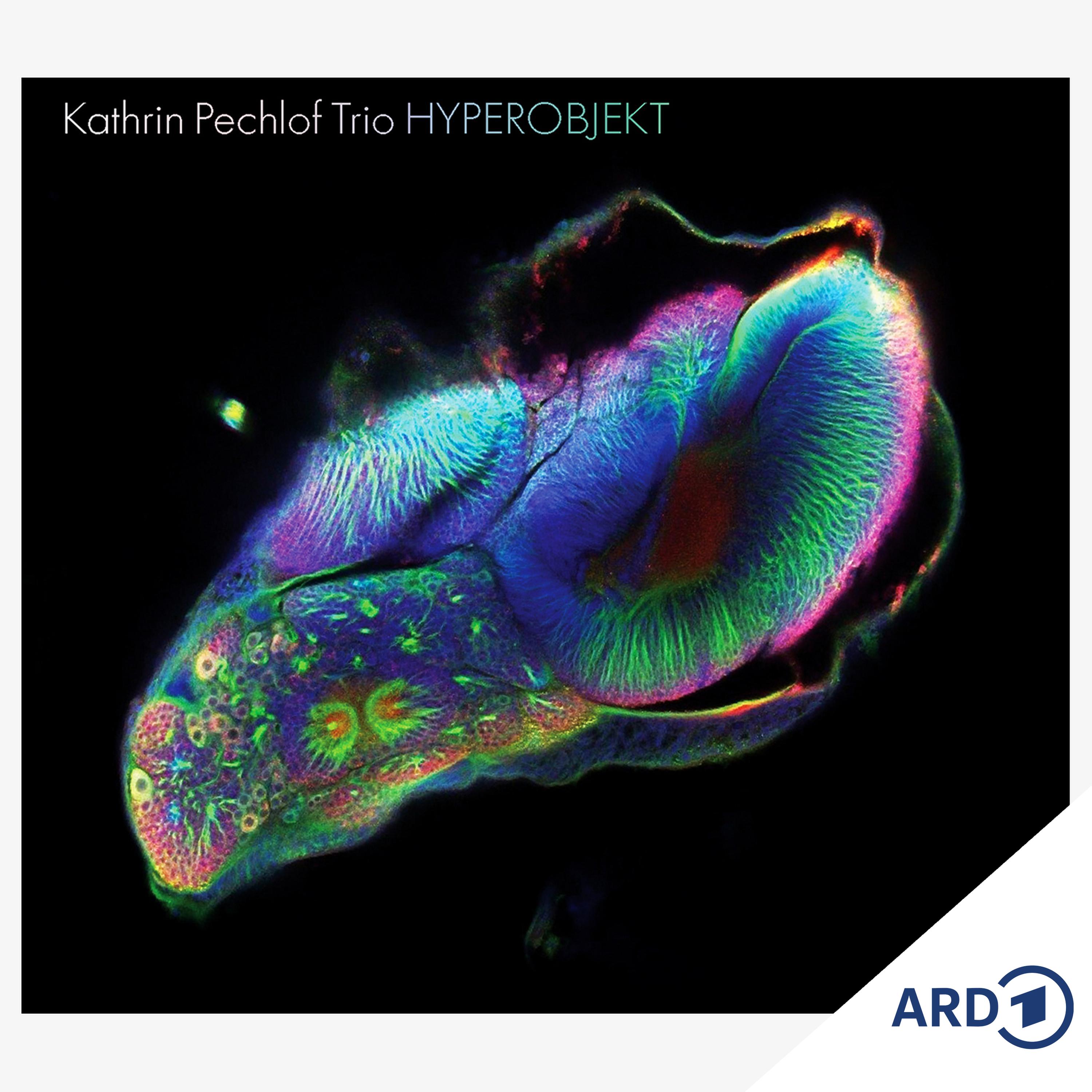 Neues Album: "Hyperobjekt" von Kathrin Pechlof episode artwork