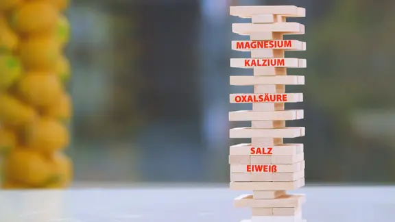 Bestimmte Nährstoffe sollten Nierenstein-Betroffene besonders im Blick haben. | NDR, Oliver Zydek/Moritz Schwarz Wackelturm aus Bauklötzen mit der Aufschrift: Magnesium, Kalzium, Oxalsäure, Salz, Eiweiß.