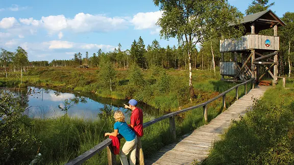 Zwei Wanderer schauen von einem Holzsteg auf das Hochmoor Mecklenbruch im Solling.
