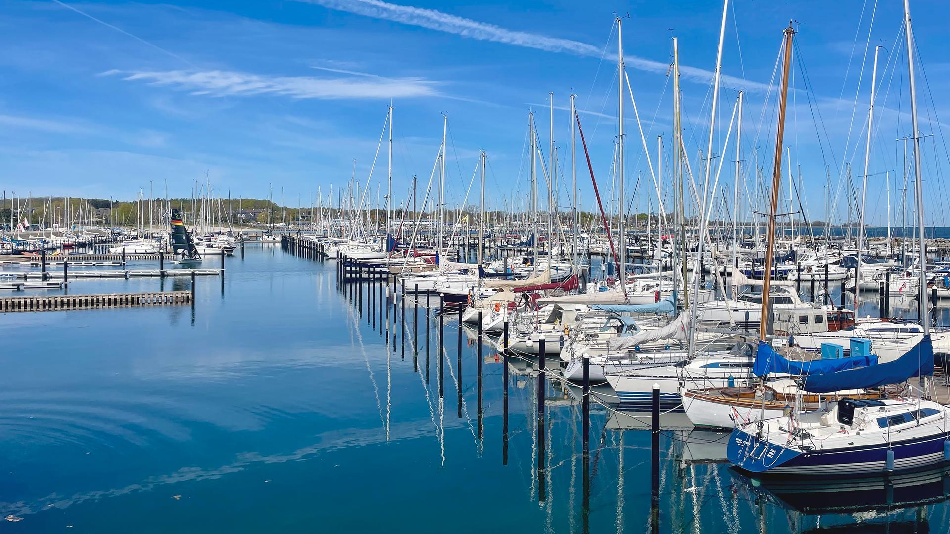 Antifouling: Gift-Farbe belastet Ostsee, aber es gibt Alternativen