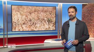 Johannes Avenarius moderiert Niedersachsen 18.00.
