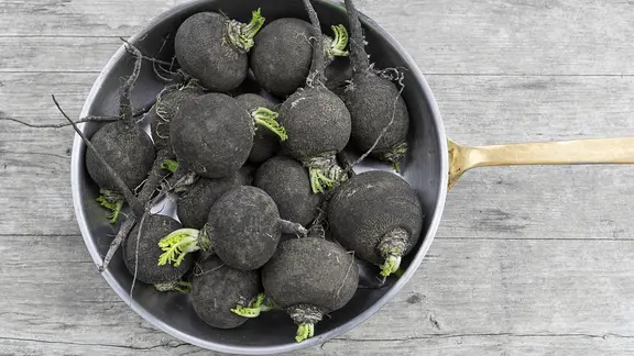 Schwarzer Winterrettich wird meist geschält, andere Rettichsorten können mit Schale gegessen werden. | fotolia, jocoso Schwarzer Winter-Rettich im Topf auf einem Holztisch.