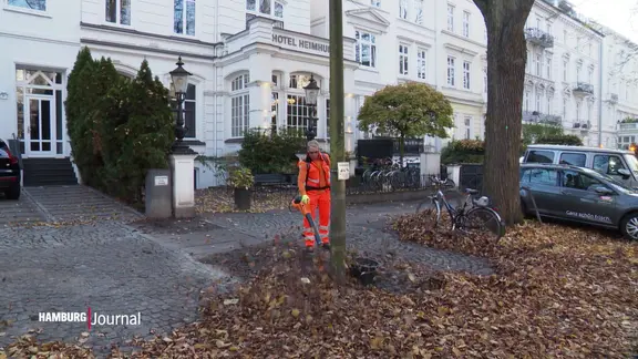 Ein Mitarbeiter der Stadtreinigung mit einem Laubbläser. | Screenshot Ein Mitarbeiter der Stadtreinigung mit einem Laubbläser.
