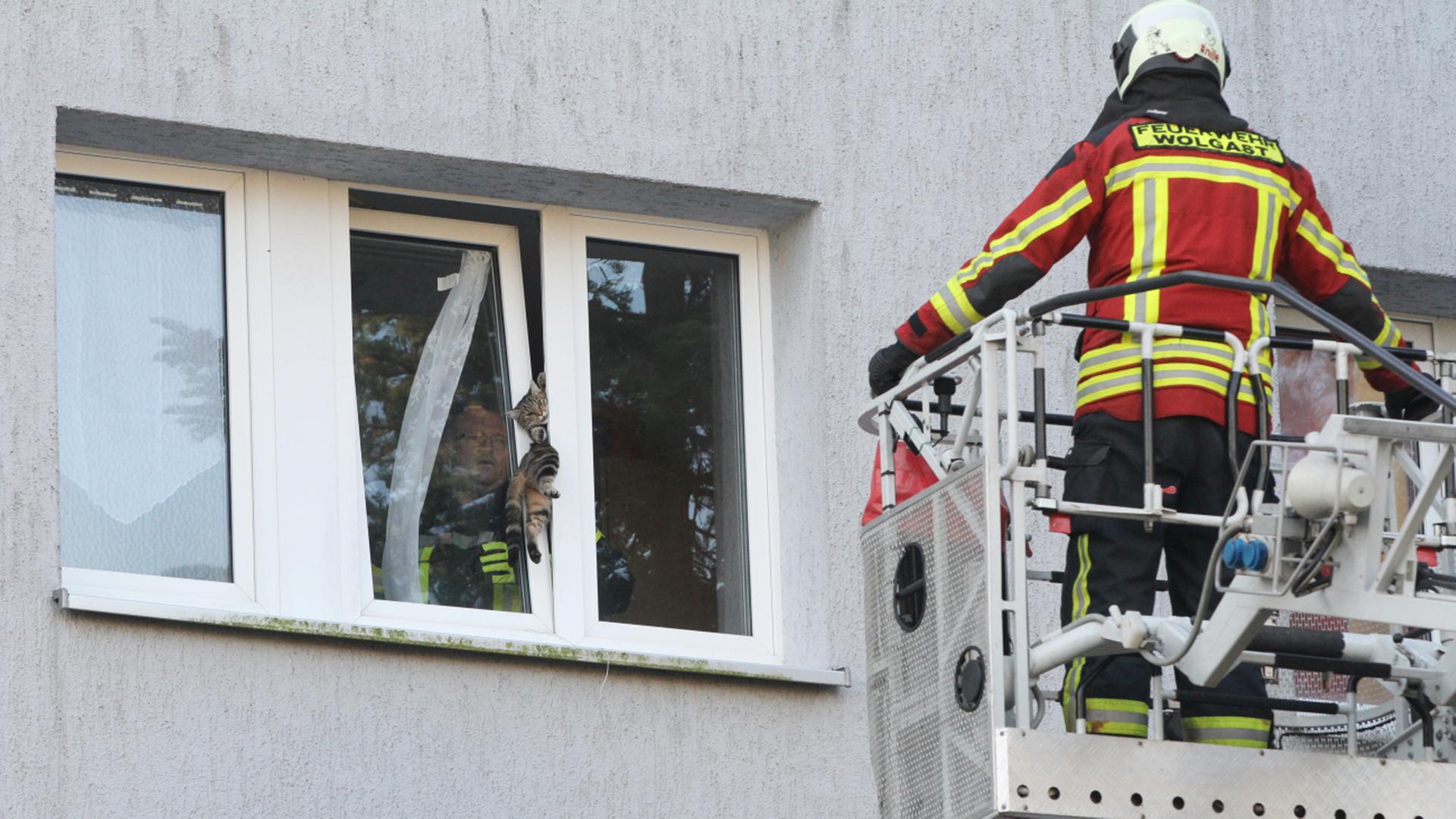 Immer mehr Aufgaben für die Freiwilligen Feuerwehren