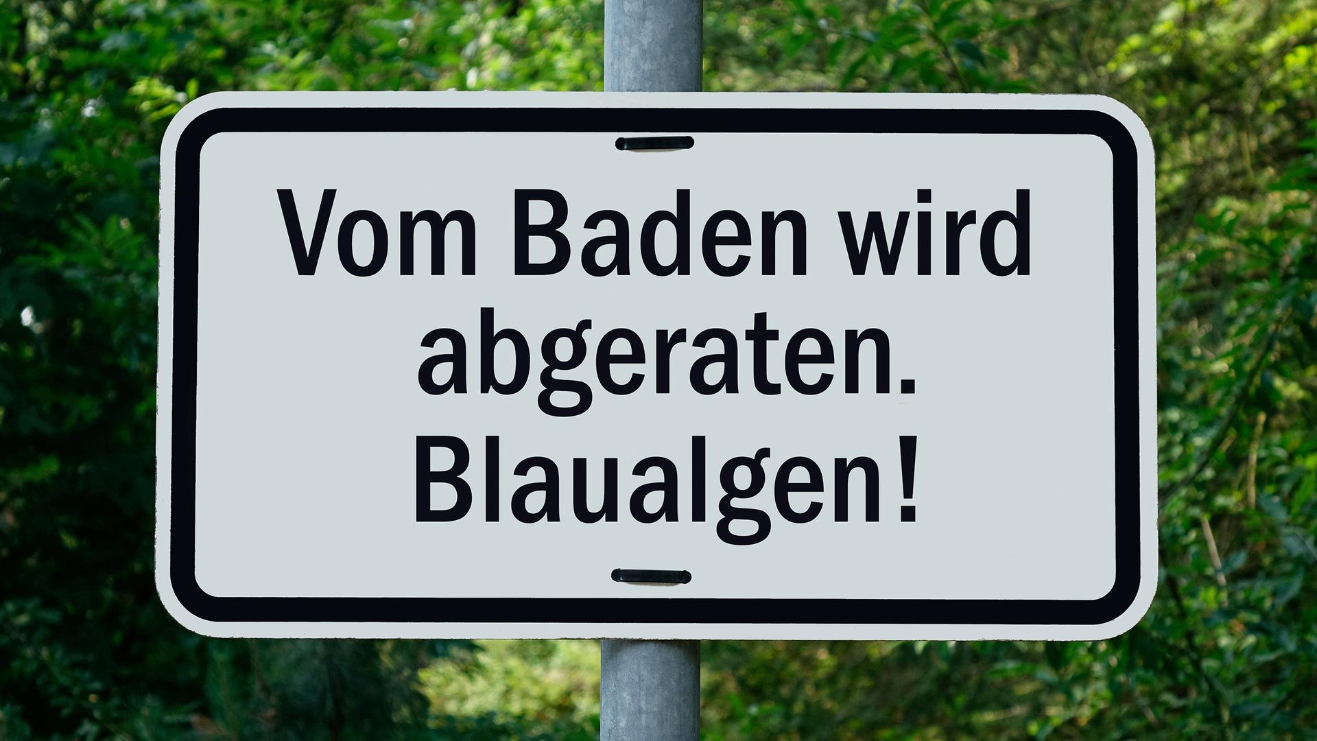 Blaualgen: Badestellen an zwei Seen in SH gesperrt