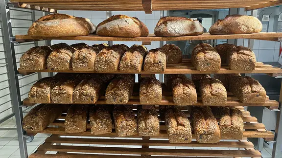 Frisch gebackene Brote in einer Bäckerei.