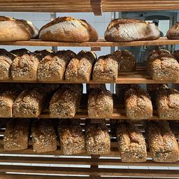 Frisch gebackene Brote in einer Bäckerei.