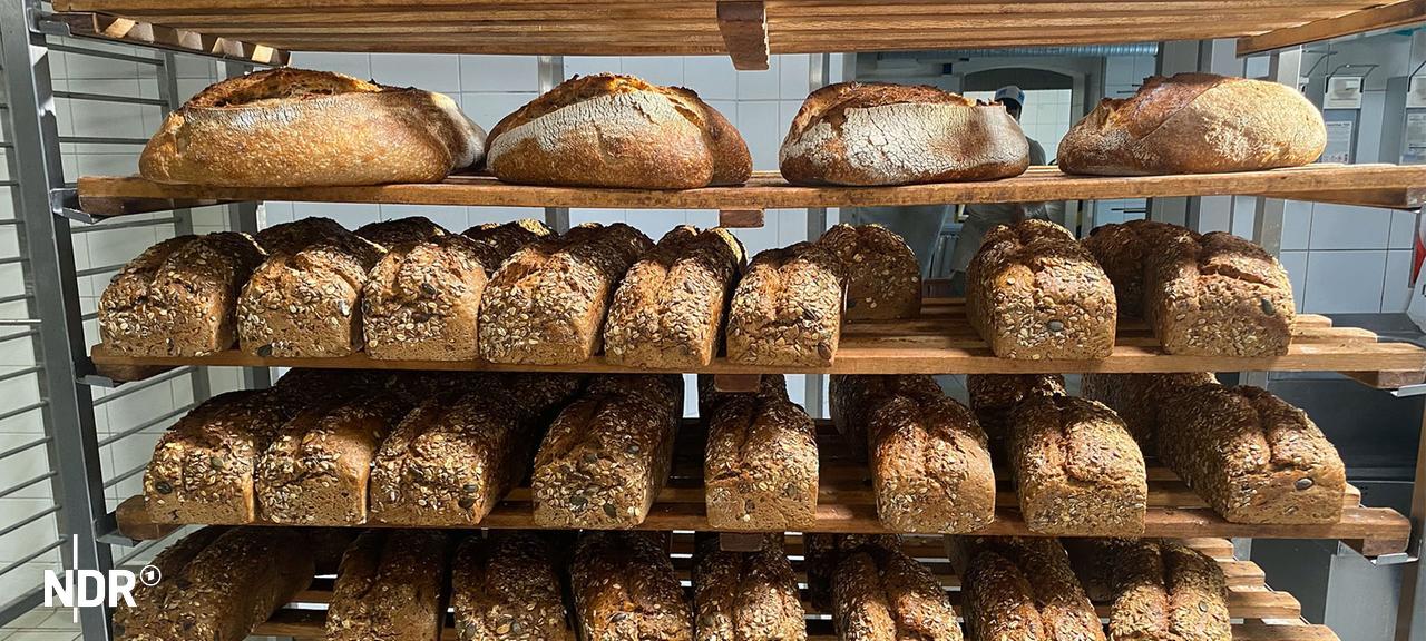 Frisch gebackene Brote in einer Bäckerei. | Inessa Baur Frisch gebackene Brote in einer Bäckerei.